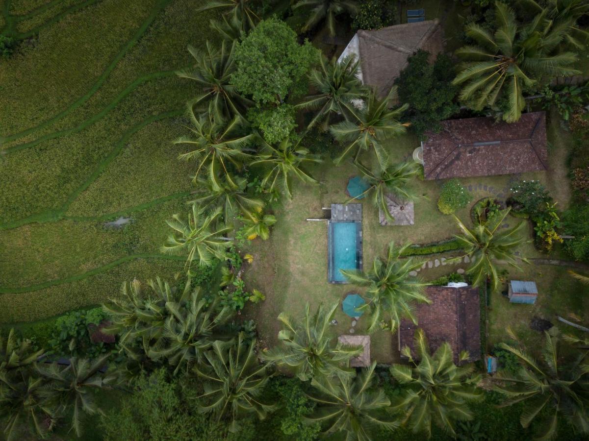 Green Sari Private Villa Убуд Екстер'єр фото
